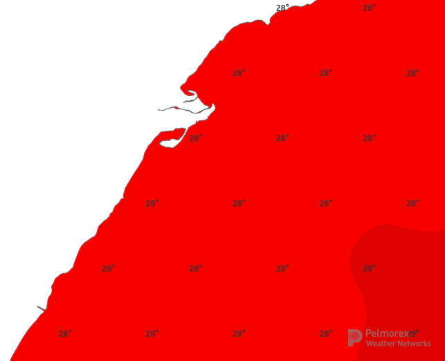Karten